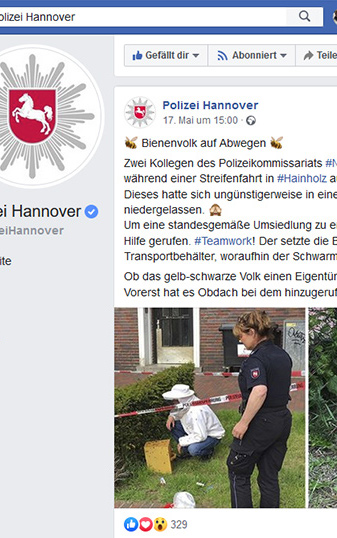 Die Bienen am Flugloch (in der Mitte der vorderen Kistenwand) zeigen ihren Kolleginnen durch Verteilen von Duftstoffen, wo sie hereinkommen sollen.